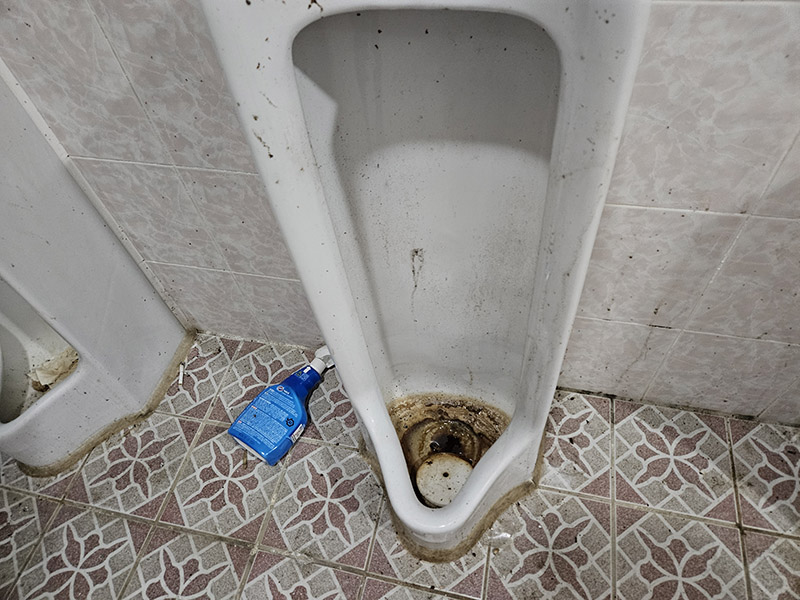 54c155b153f6b7c8e228c638a961aab0_1770166771_4118.jpg 54c155b153f6b7c8e228c638a961aab0_1770166771_4118.jpg