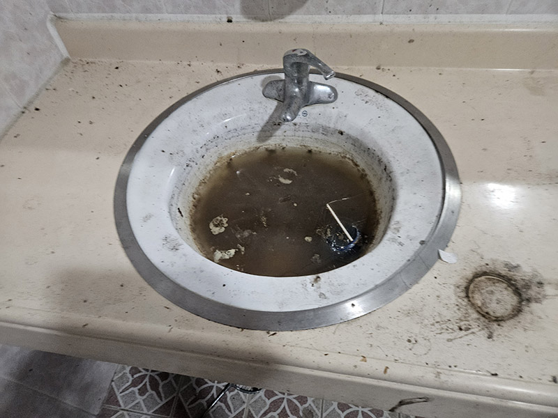 54c155b153f6b7c8e228c638a961aab0_1770166771_4552.jpg 54c155b153f6b7c8e228c638a961aab0_1770166771_4552.jpg