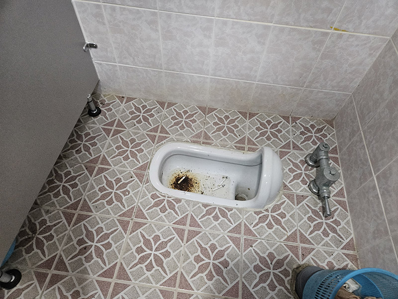 54c155b153f6b7c8e228c638a961aab0_1770166771_5503.jpg 54c155b153f6b7c8e228c638a961aab0_1770166771_5503.jpg